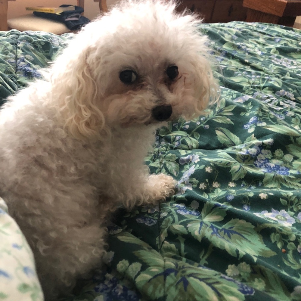 Meet your Posher, Christine schramm